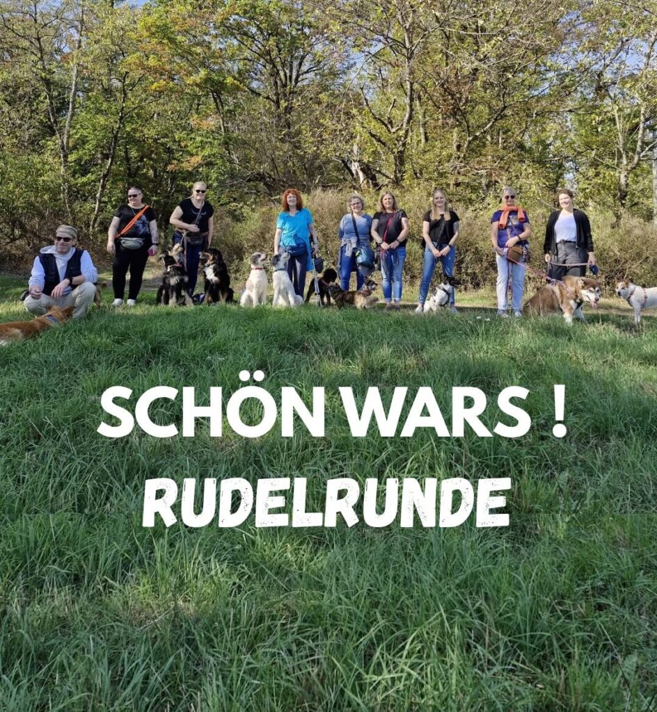 Rudelrunde — Pfoten verbinden